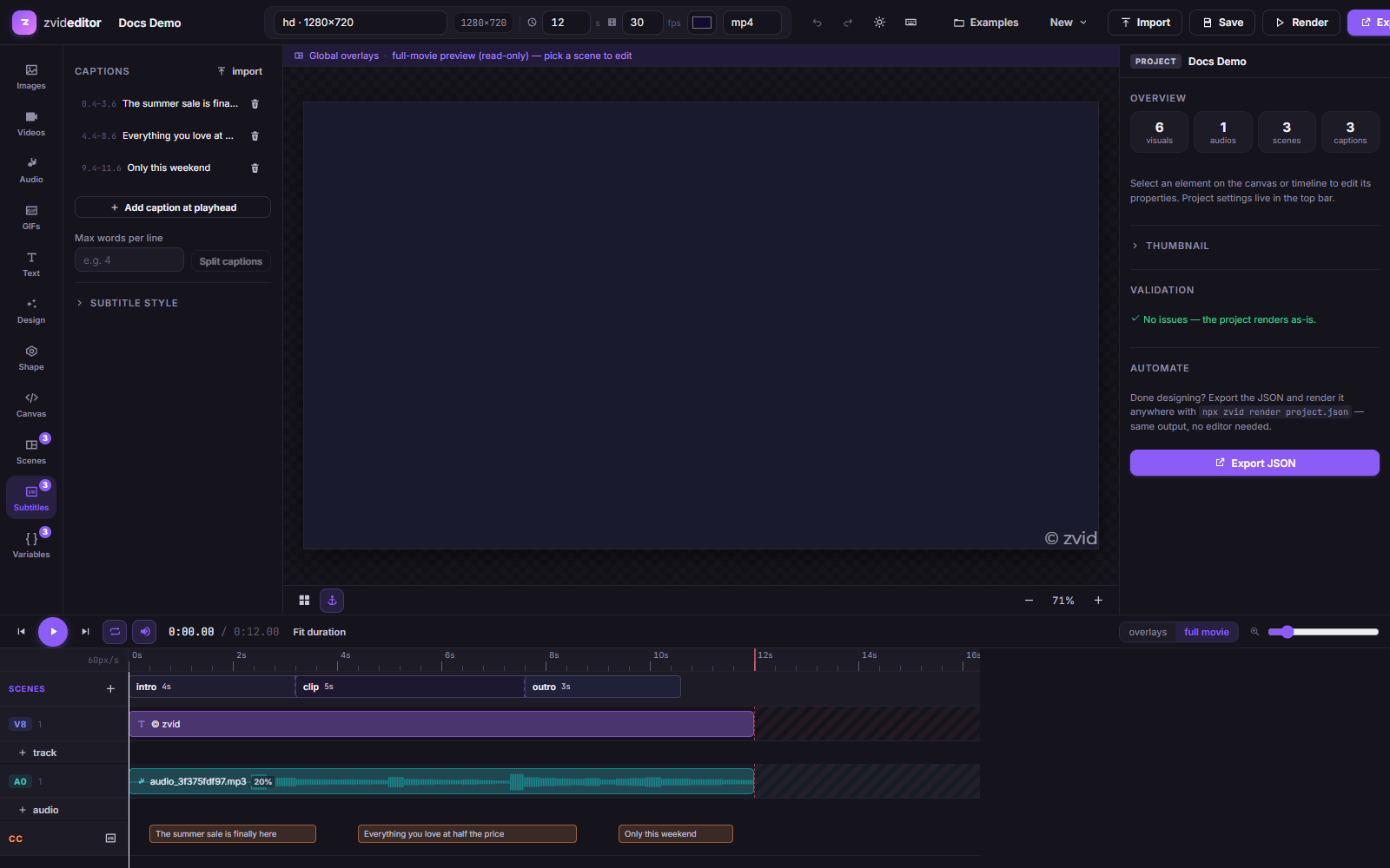 The subtitle panel with the demo project's captions