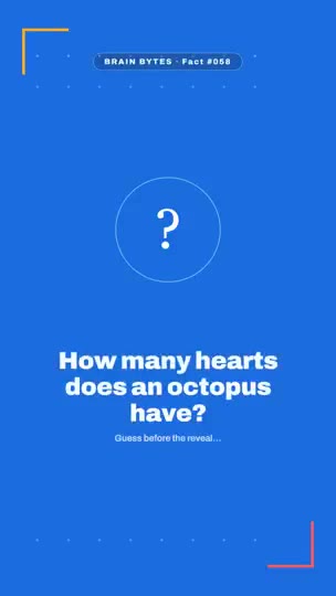 Fact of the Day
